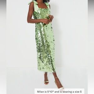 Mint Chip Sequin Roxy Dress